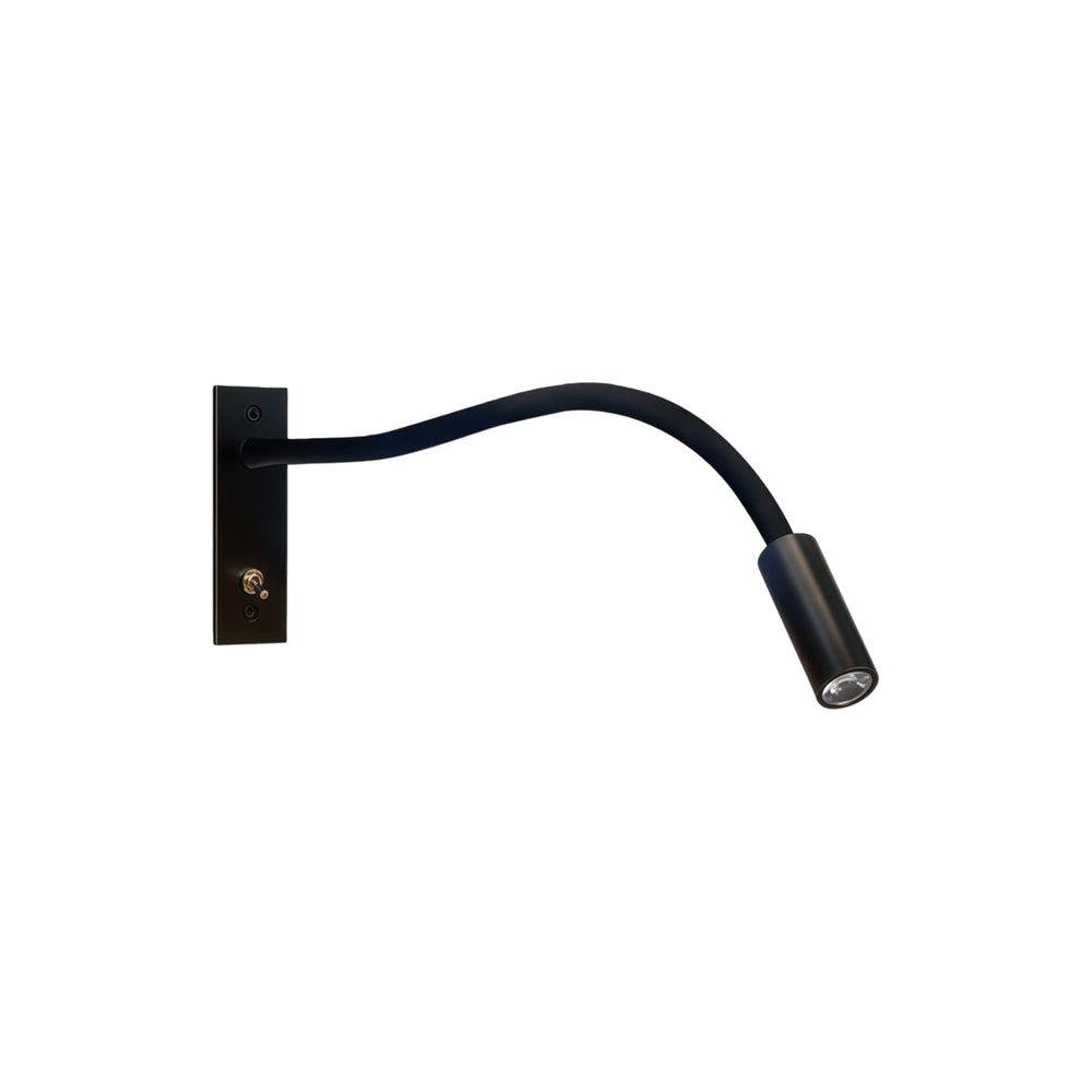 Flexible Swing Arm Wall Mount Light