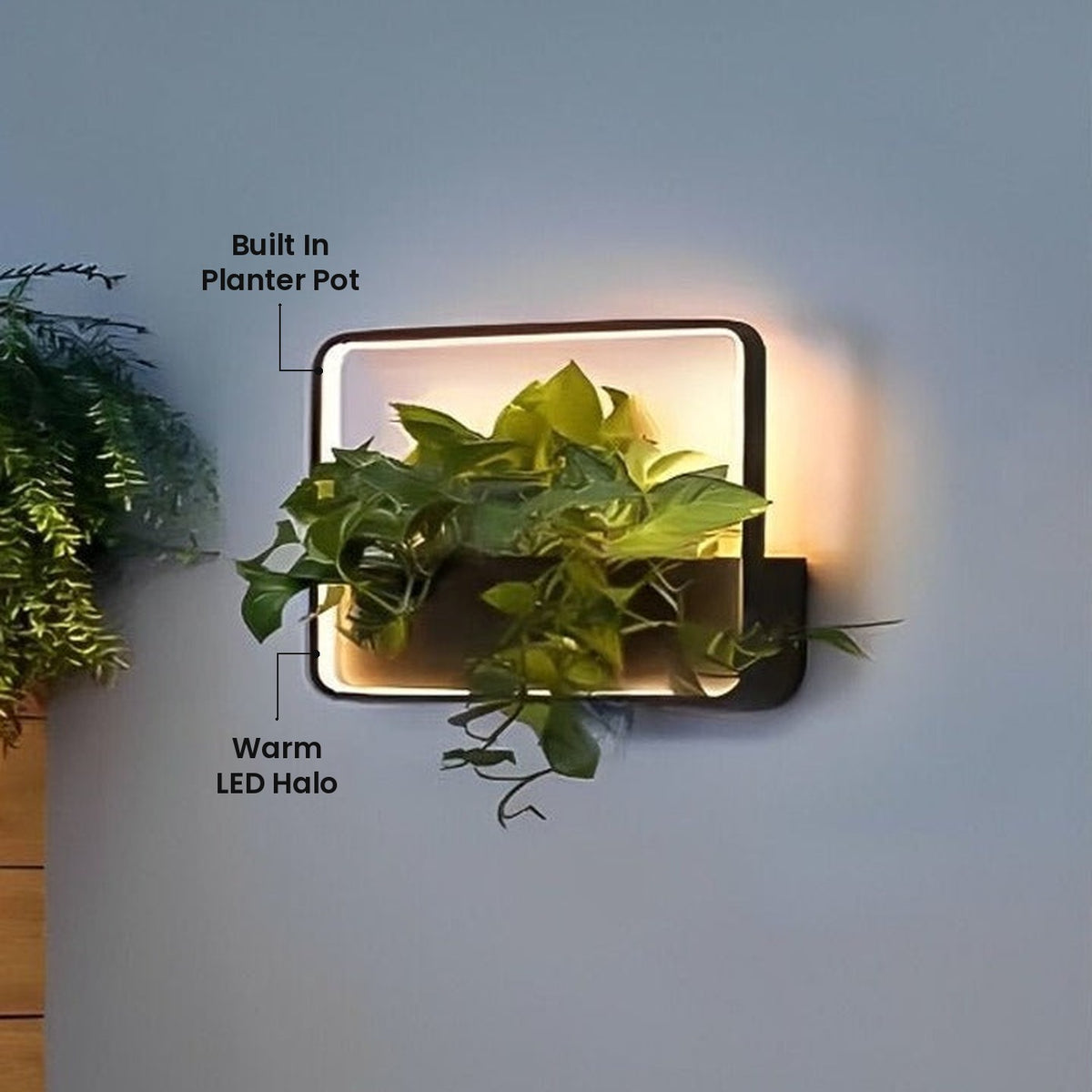 Living Planter Wall Light: Built In Planter Pot, Warm LED Halo