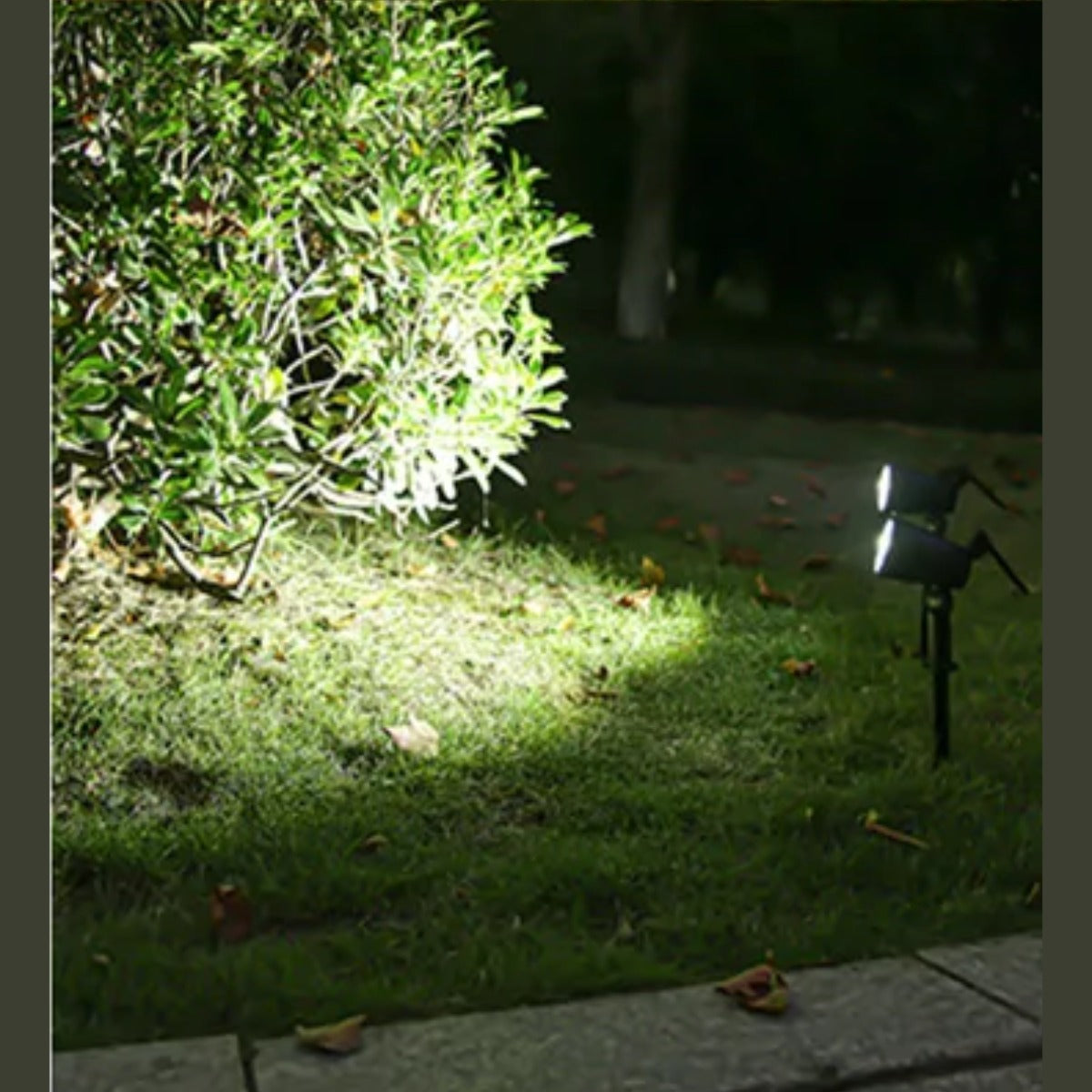 Solar garden spotlight white light on shrub