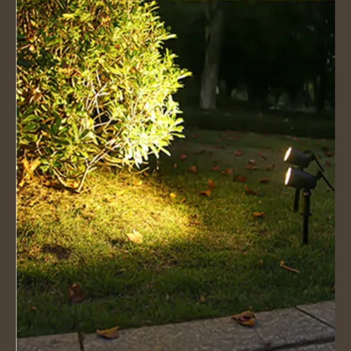 Solar garden spotlight warm white light on shrub