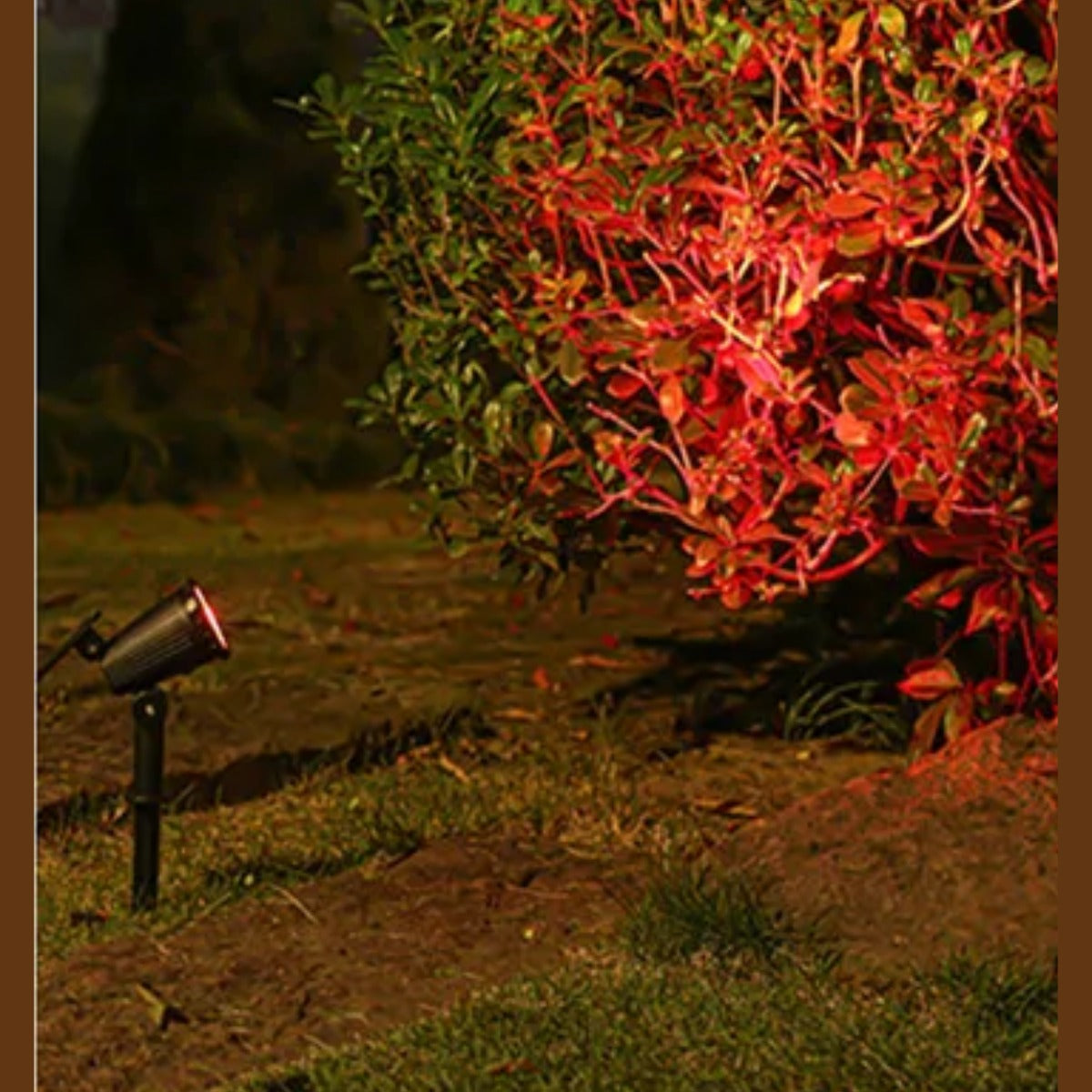 Solar garden spotlight RGB red light on foliage