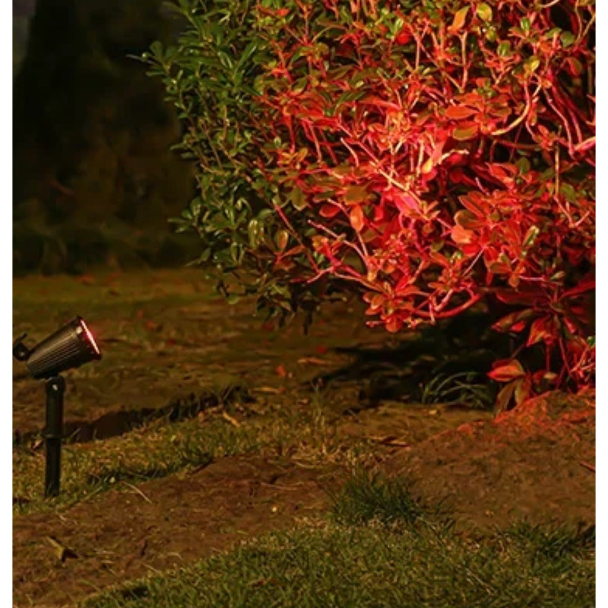 Solar spotlight red RGB light