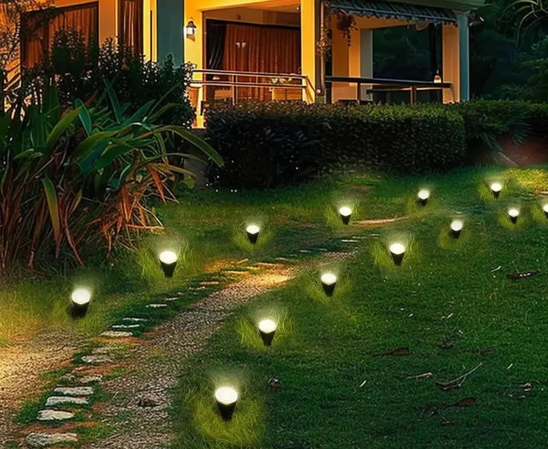 Solar pathway lights lining a garden path in front of a house