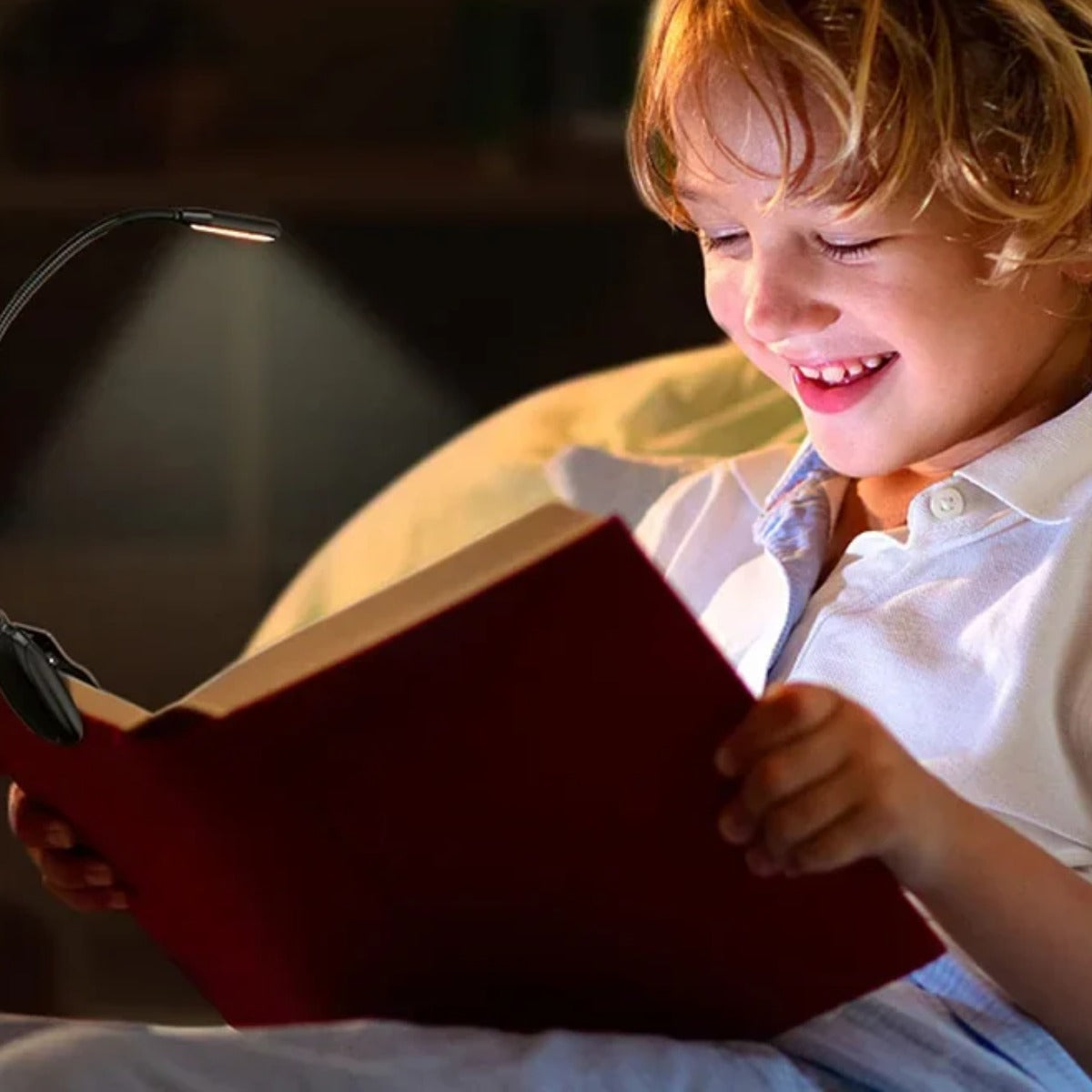 Rechargeable Clip On Book Light