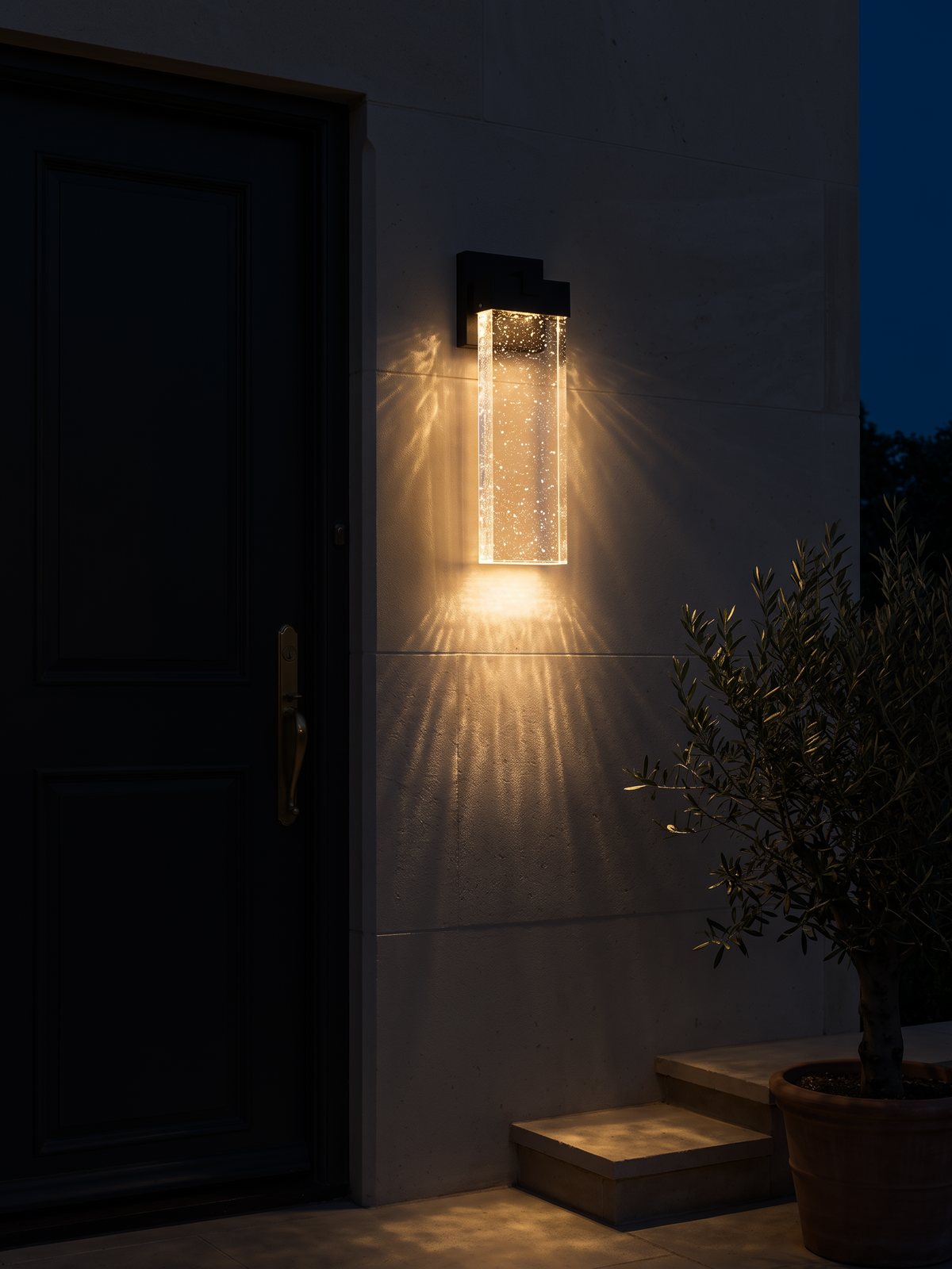 Seedling in the same room at night, switched on