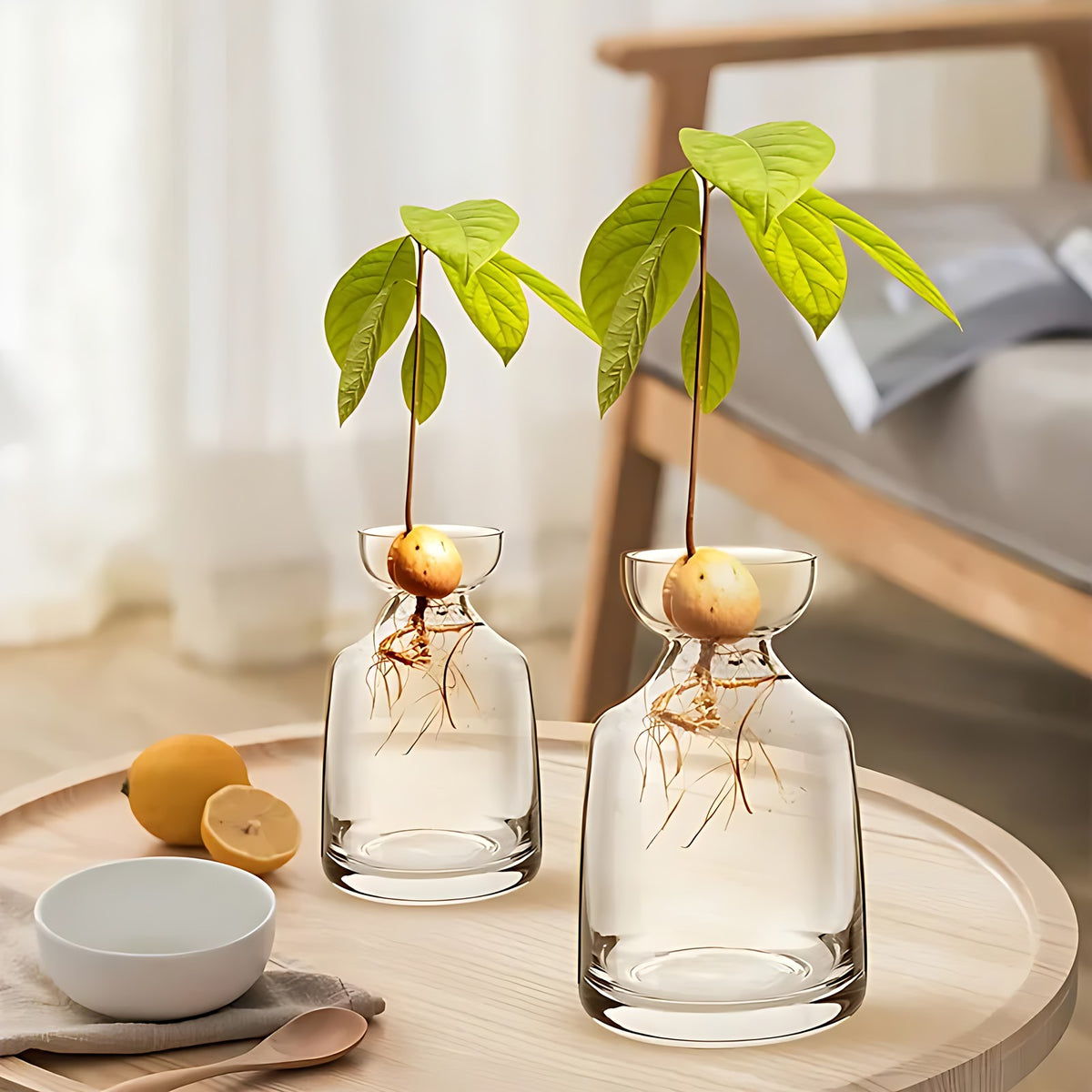 Avalon Seed Vases