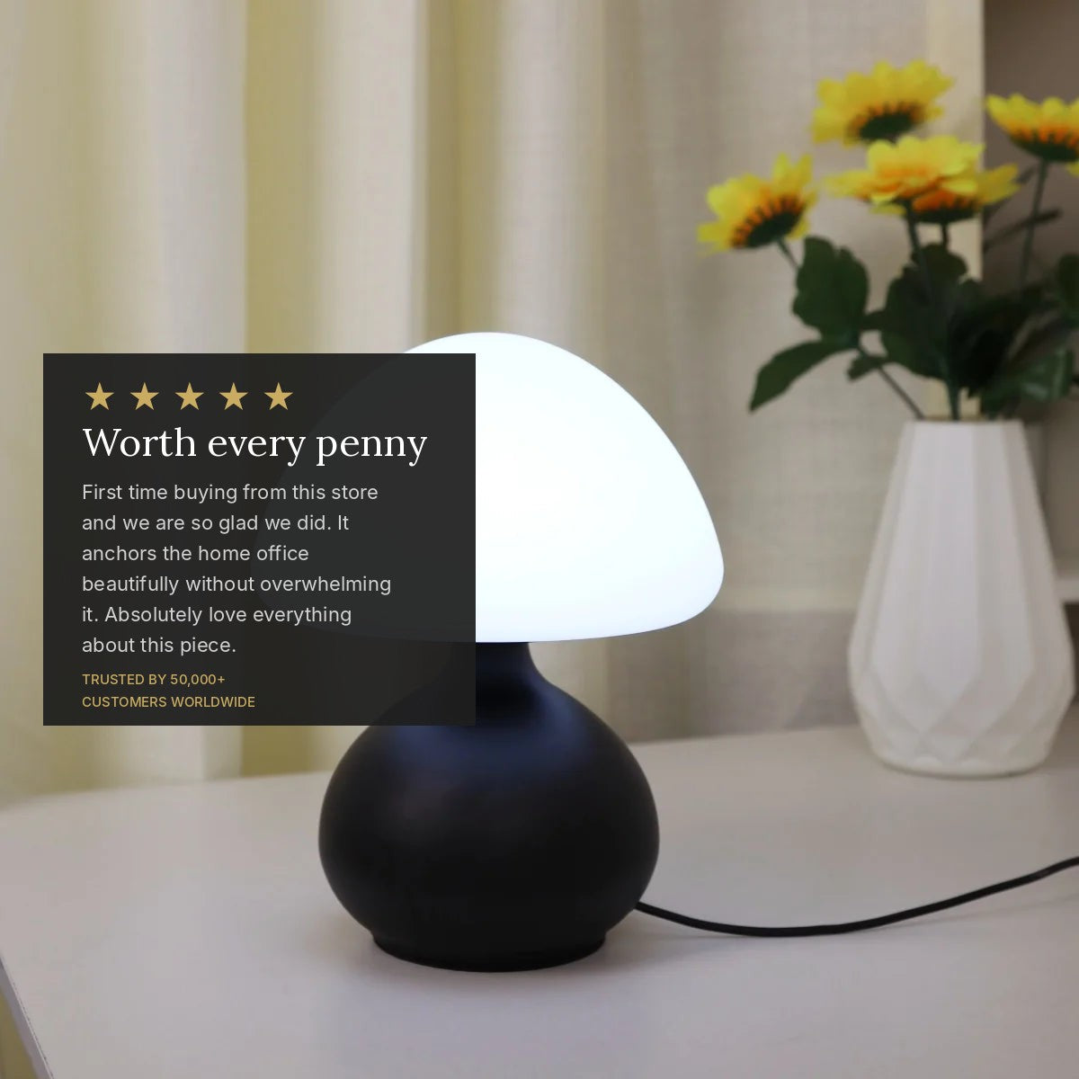 review_overlay_8895862014004