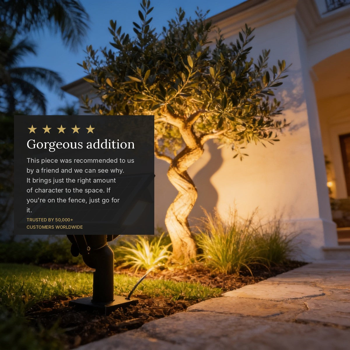 review_overlay_8945874567220