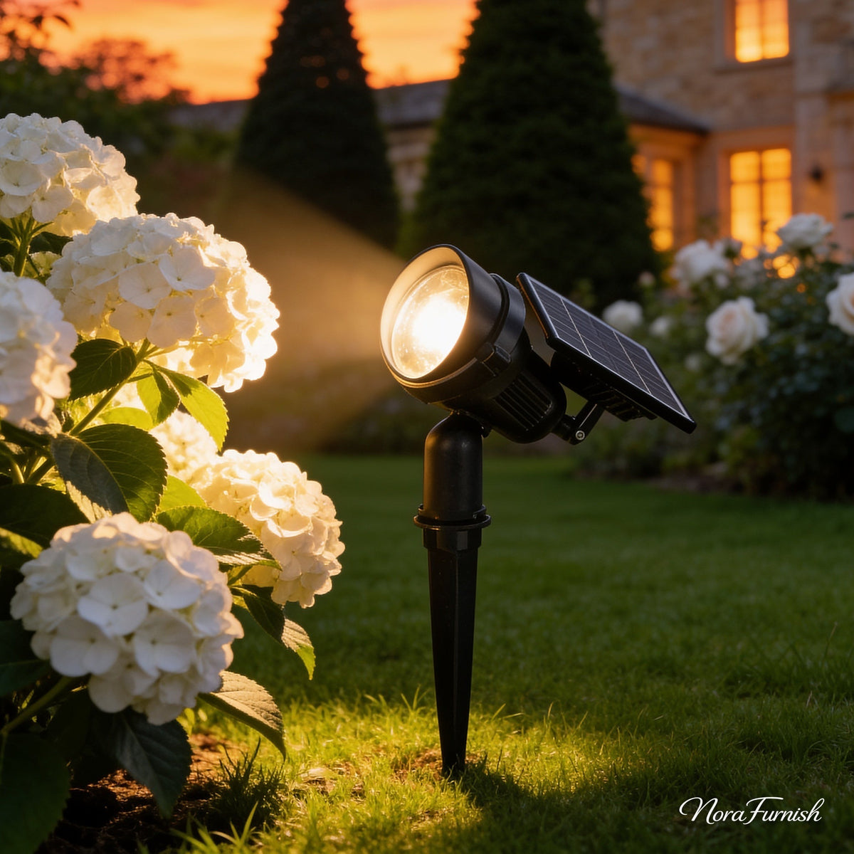 Solar Lawn Spotlight lighting white hydrangeas in a garden at dusk