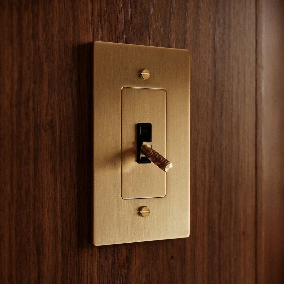 Brass Toggle Light Switch