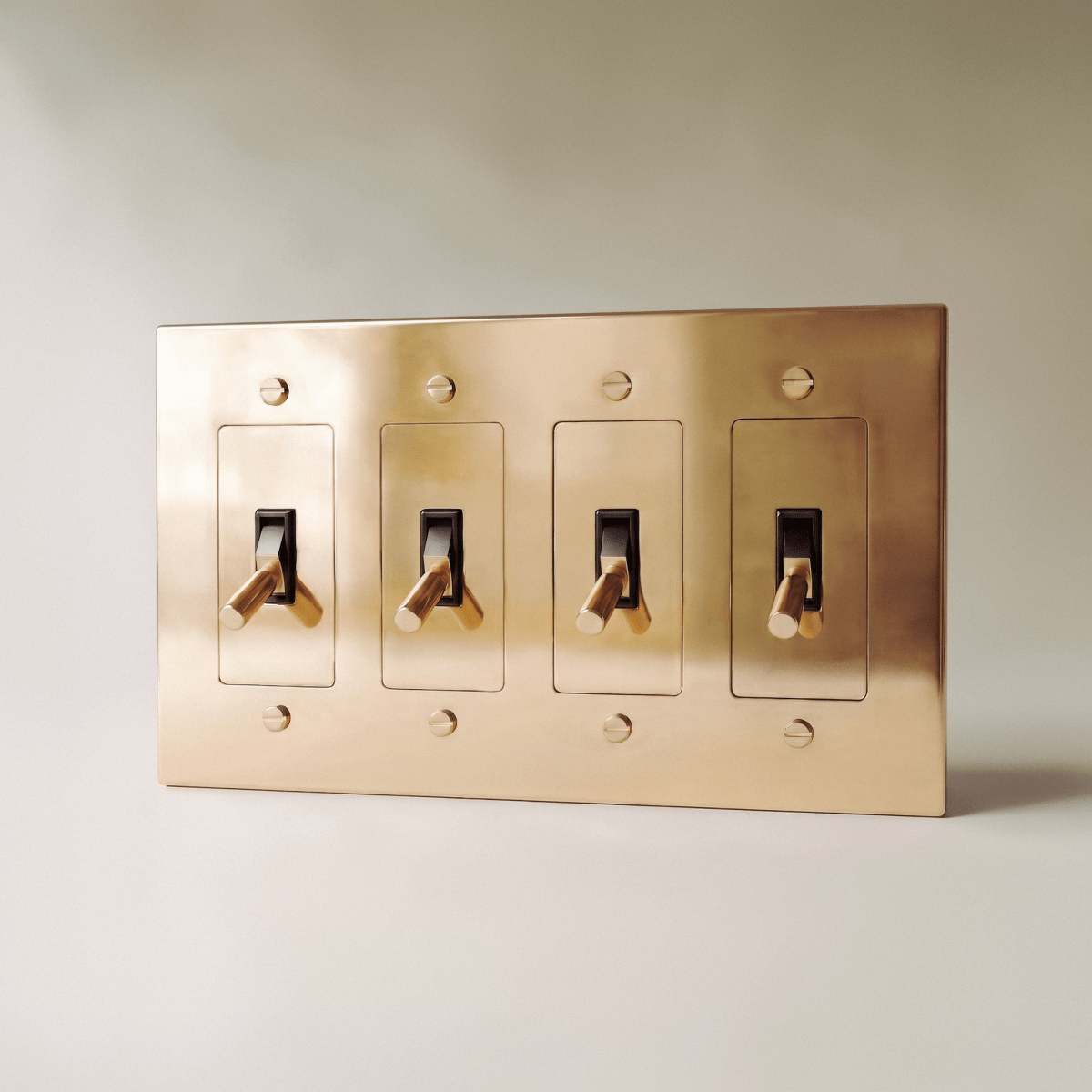Polished Brass Toggle Light Switch