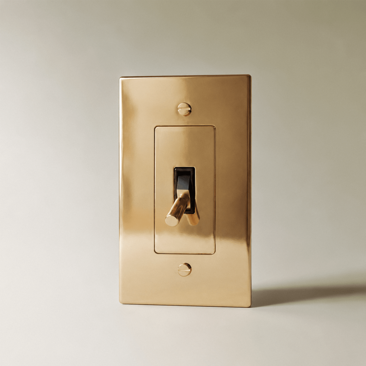 Polished Brass Toggle Light Switch