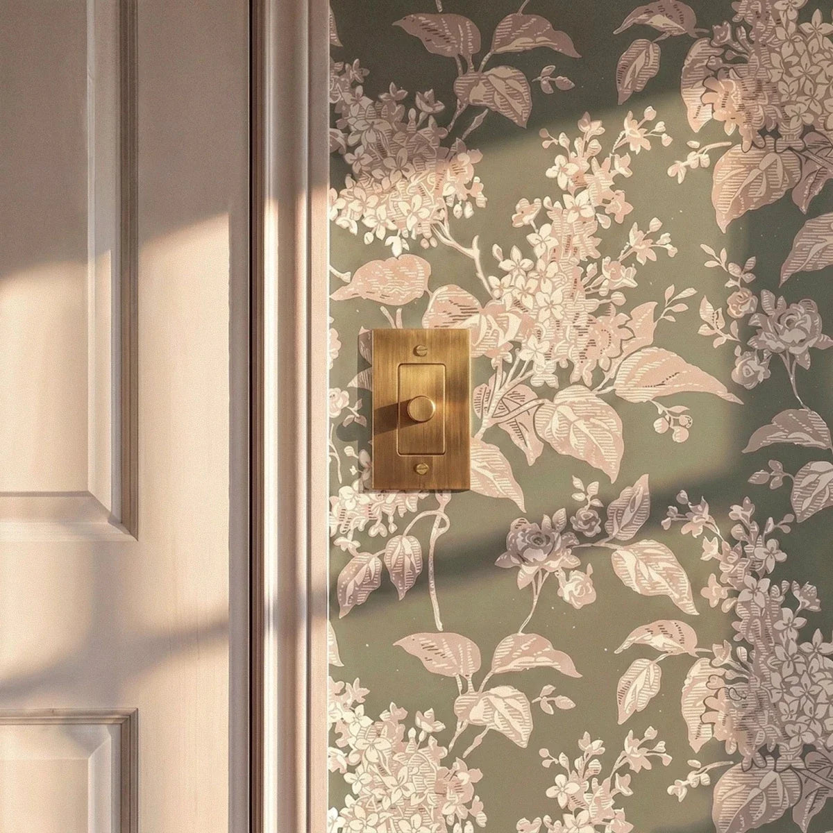 Unlacquered Brass Dimmer Switch