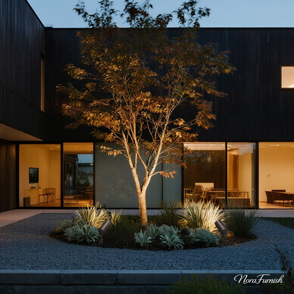 Mulberry