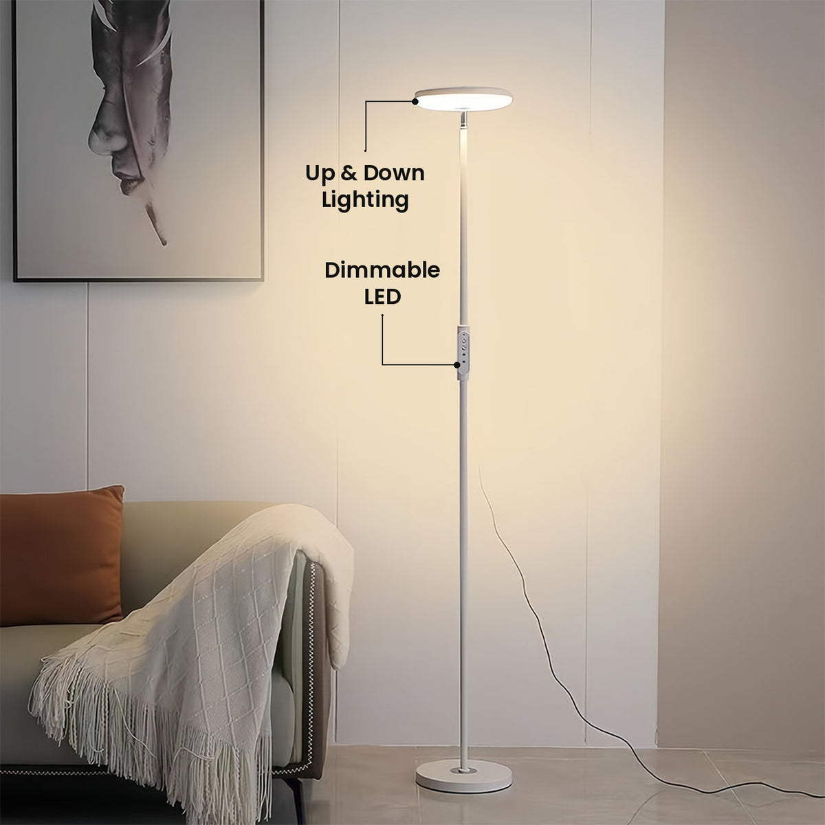 Uplight and Downlight Floor Lamp: Up & Down Lighting, Dimmable LED