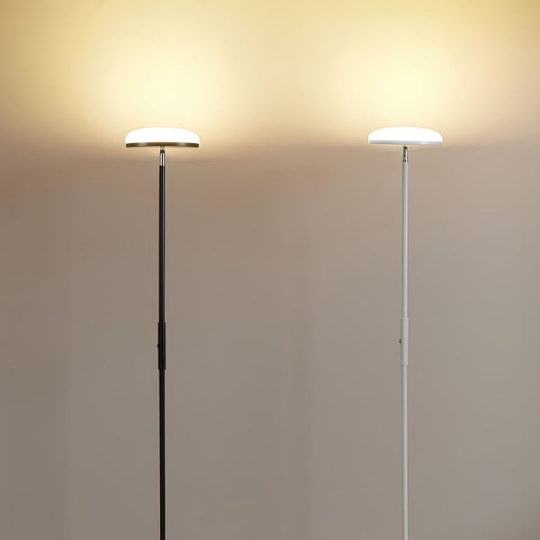 Uplight and Downlight Floor Lamp